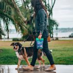 Pourquoi une ou deux promenades par jour changent la vie de votre chien
